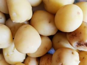 土豆放一点盐，蒸熟