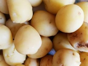 土豆放一点盐，蒸熟