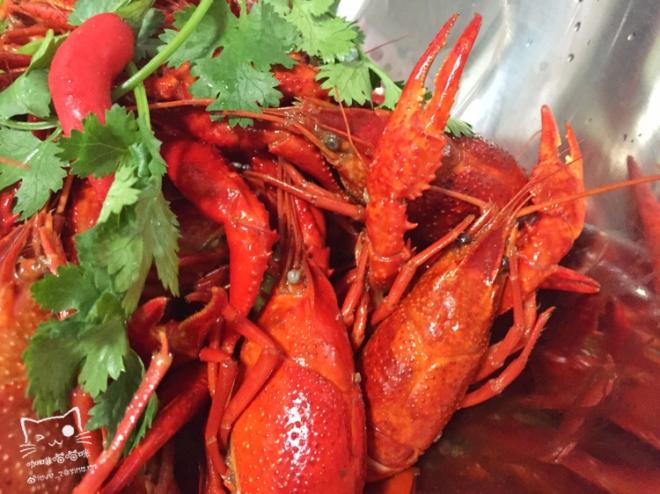 吮指酸辣小呀小龙虾