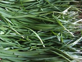 韭菜洗净凉干水份。