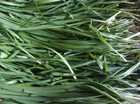 韭菜洗净凉干水份。