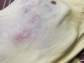 揉好的面团放入干净的盆中，盖上保鲜膜放在温暖的地方发酵到两倍大。