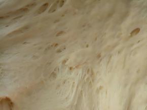 把中种材料混合揉至无干粉，装入保鲜盒放冰箱冷藏20小时左右(如果着急用可以放在室温3个小时左右)，主要还是看面团的状态。如图出现蜂窝状就可以了。