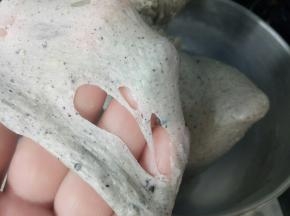 大概8-10分钟左右，可以拉出这样的膜。这时就可以放入盐和软化好的黄油了，继续揉。 