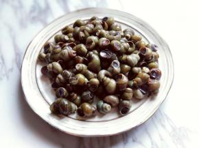 螺丝买回来清洗两遍，之后放水里滴几滴食用油，养4小时以上，途中可以换水。（我买的是人家剪好的）