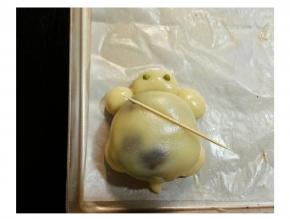 用牙签压出龟龟壳的纹饰