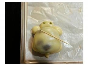 用牙签压出龟龟壳的纹饰