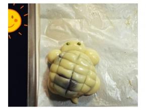 小乌龟完成
