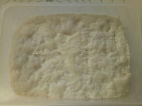 把中种材料混合揉至无干粉，装入保鲜盒放冰箱冷藏20小时左右(如果着急用可以放在室温3个小时左右)，主要还是看面团的状态。如图出现蜂窝状就可以了。