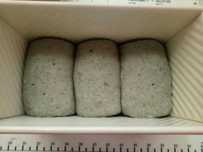 卷好后放入阳晨中国红吐司盒里。进行二发(二发温度不要超过38度)