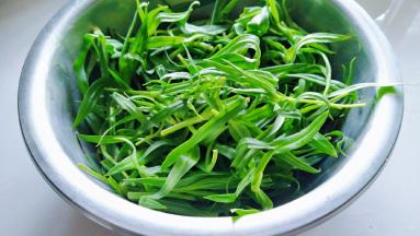 准备新鲜的面条菜摘掉干叶。