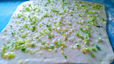 均匀的撒上盐，和香葱碎。