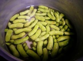 锅里放适量的水，跟毛豆