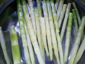 捞起放在凉水中。