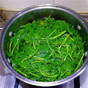 苜蓿清洗干净，用开水焯后放到冷水里过凉。