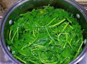 苜蓿清洗干净，用开水焯后放到冷水里过凉。