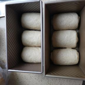 再次擀成椭圆形卷起收口向下放入吐司盒