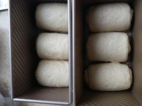 再次擀成椭圆形卷起收口向下放入吐司盒