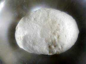 揉成面团盖上盖子醒发