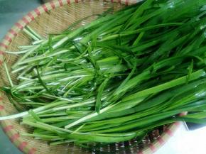韭菜洗净控水