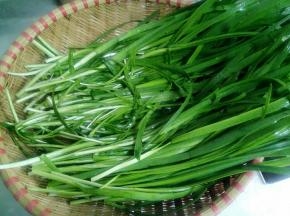 韭菜洗净控水