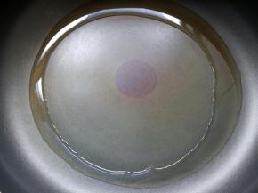 锅烧热后，下入20克食用油。