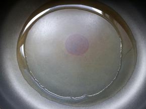 锅烧热后，下入20克食用油。