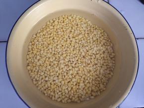 绿豆用清水泡一晚，多换几次水