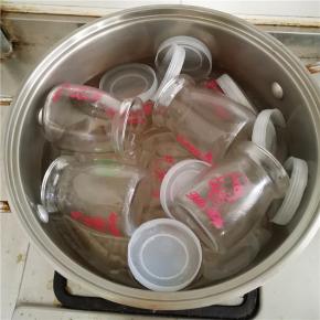 布丁瓶热水煮沸消毒。