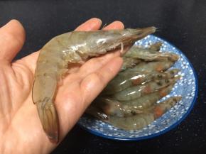 将虾枪、虾爪剪去，从背部剪来，挑出虾线。
