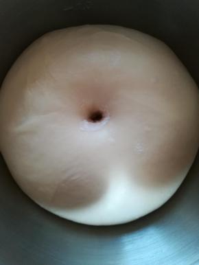 .拿出桶放盆里发酵至1.5-2-倍大，手插入面团，洞孔不回缩不塌陷