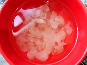 泡发好的皂角米换水备用