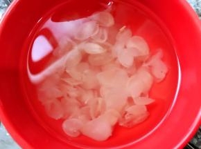 泡发好的皂角米换水备用