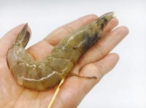 用牙签挑出虾线。