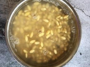 提前8个小时泡发。