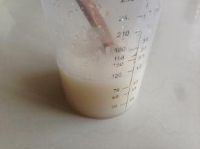 酵母溶于温水中