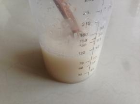 酵母溶于温水中