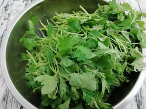 益母草去掉根部