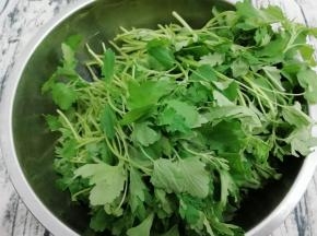 益母草去掉根部