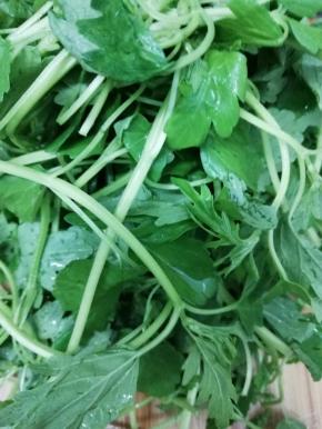 用盐水浸泡十分钟然后用水冲洗干净