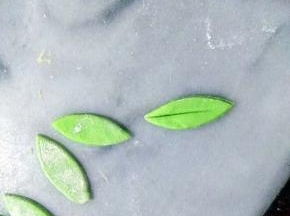 绿色面团，压出叶子状，沾在花底座。