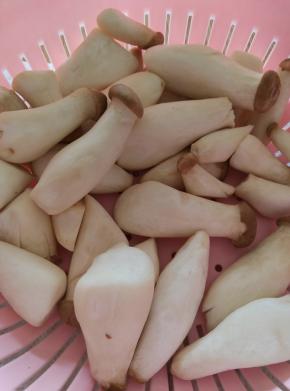 杏鲍菇洗净，沥干十分，借助牙签将杏鲍菇撕成丝。可以用大的杏鲍菇，我用的是这种小的。