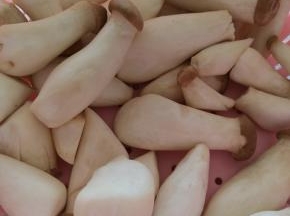杏鲍菇洗净，沥干十分，借助牙签将杏鲍菇撕成丝。可以用大的杏鲍菇，我用的是这种小的。