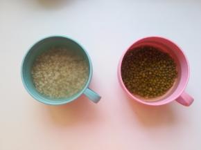 薏仁米绿豆用清水侵泡一到二小时，煮的时候会比较快酥烂，节约煮制的时间。