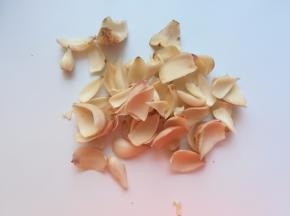 百合掰开成小瓣。我用的是鲜百合，如果用的是干百合，可以跟绿豆、薏仁同时浸泡。