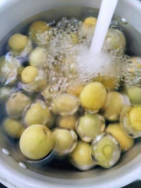 青梅泡水洗干净