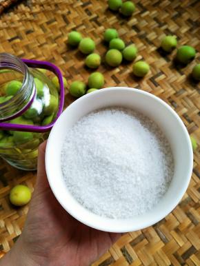 一碗盐，这样循环放入干净的密封瓶了，这是我们潮汕腌咸梅的办法，你要多点少点的盐都可以！