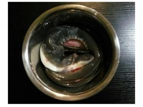 鳗魚去骨洗净，用盐、胡椒粉、料酒腌20分钟