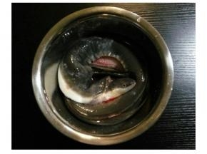 鳗魚去骨洗净，用盐、胡椒粉、料酒腌20分钟