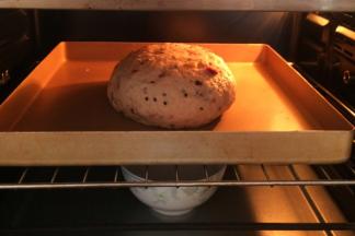 把整形好的面团放入烤箱内进行二发，开启烤箱发酵功能，可设定发酵温度35度，在烤箱下层放碗温水增加湿度。